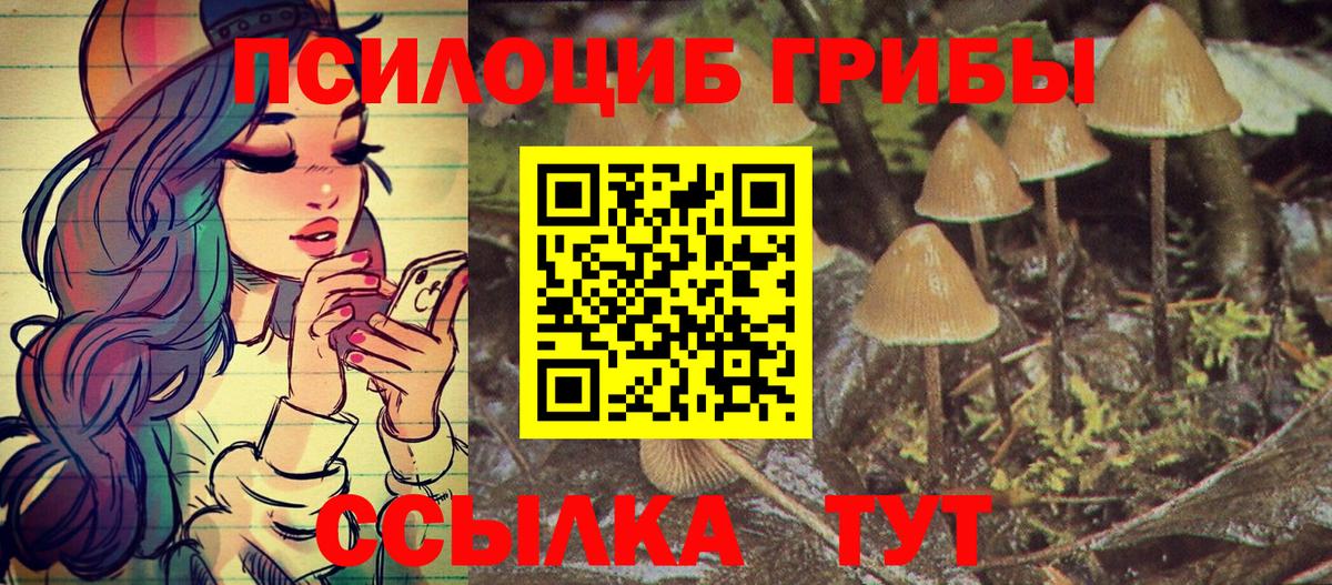 где купить   Галлюциногенные грибы GOLDEN TEACHER  Вход с VPN  Елец 